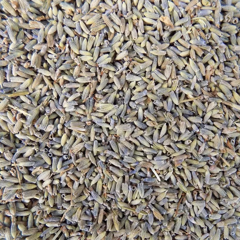 Lavendel Thee Bloesem