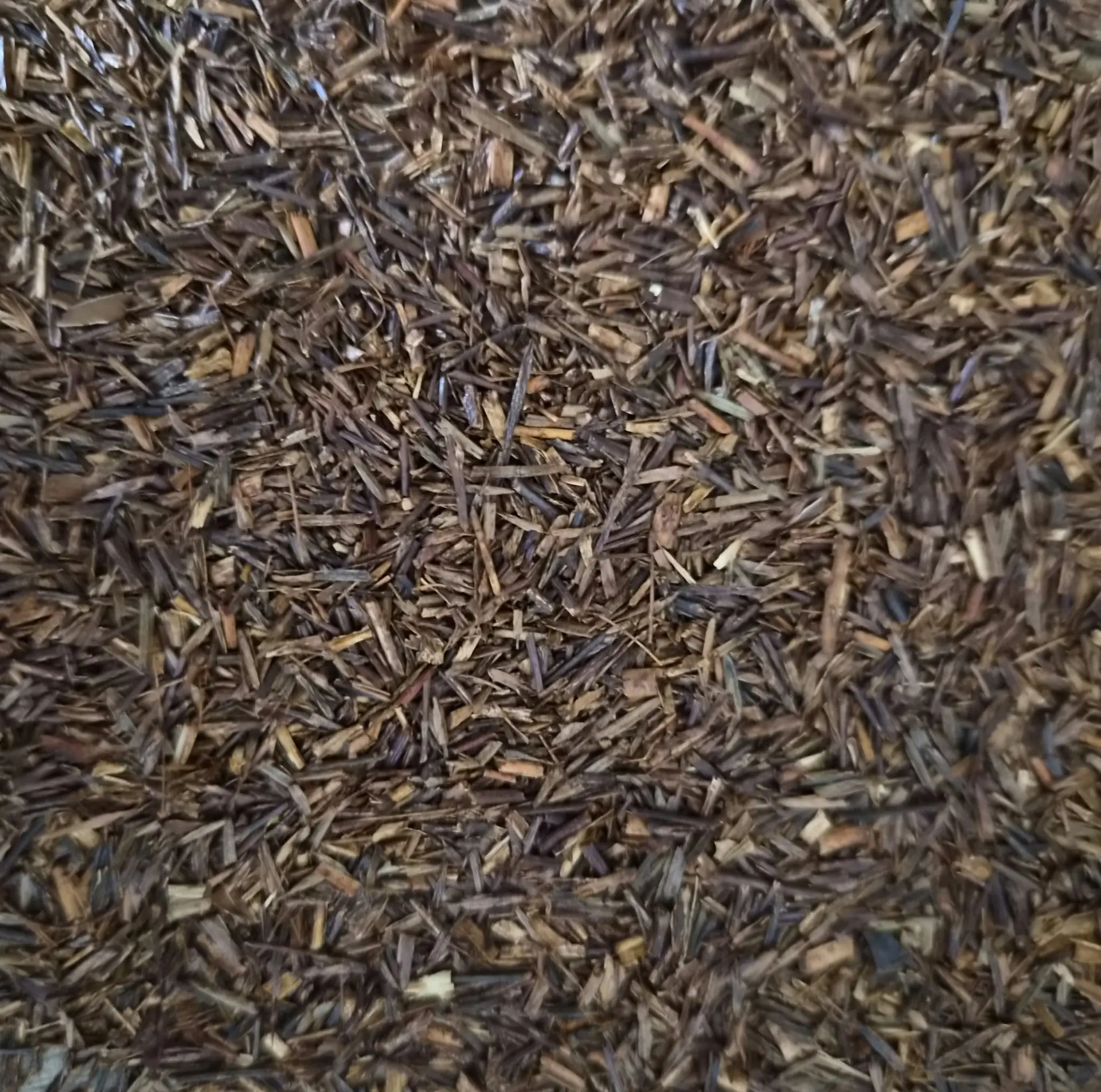 Rooibos Longcut