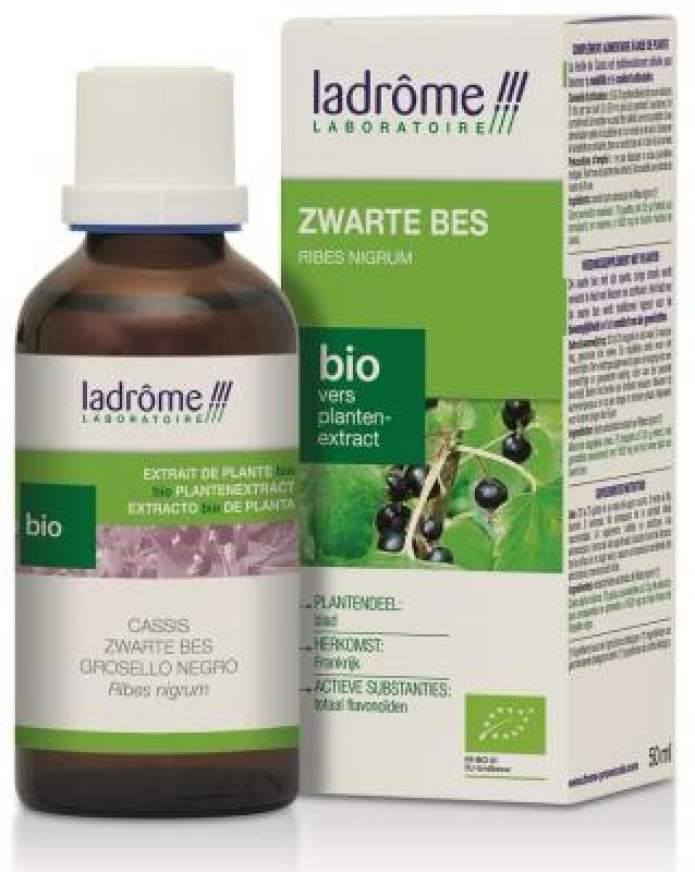 Zwarte Bes Plantenextract (50 ml)